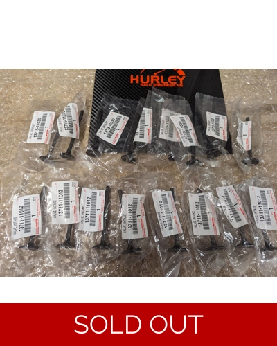 Genuine Toyota 4EFE 4EFTE 5E valve set